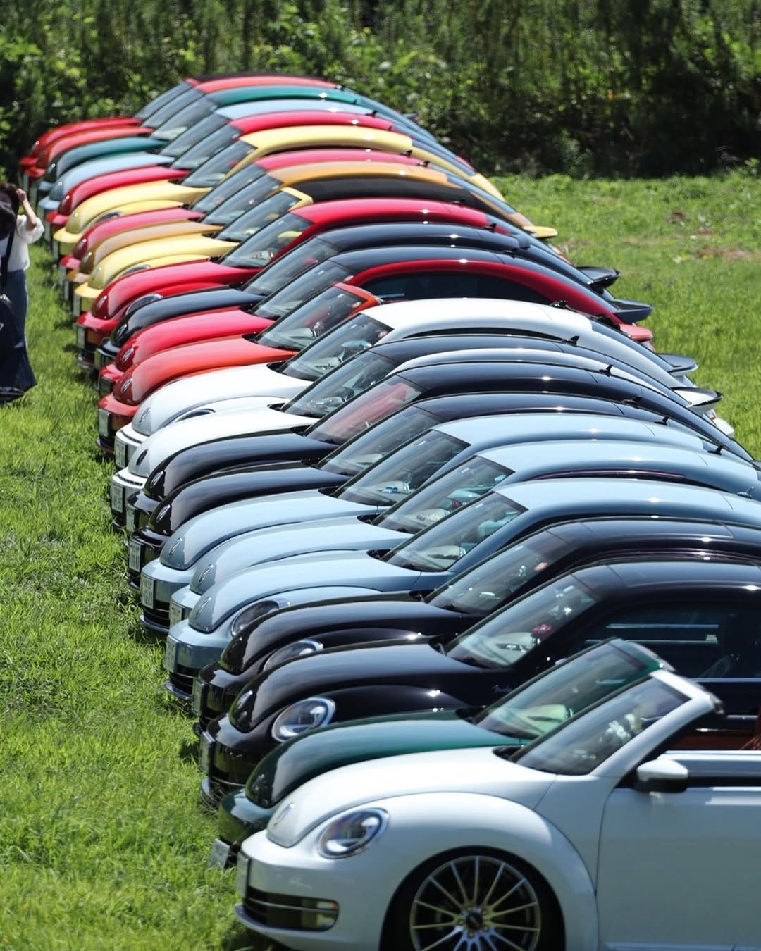 The Beetle JAPAN meeting