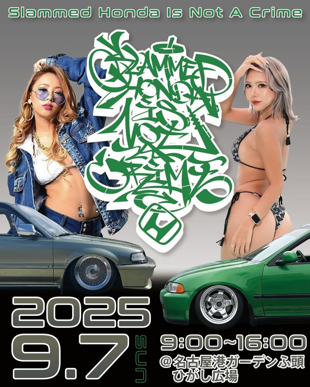 slammed HONDA is not a CRIME